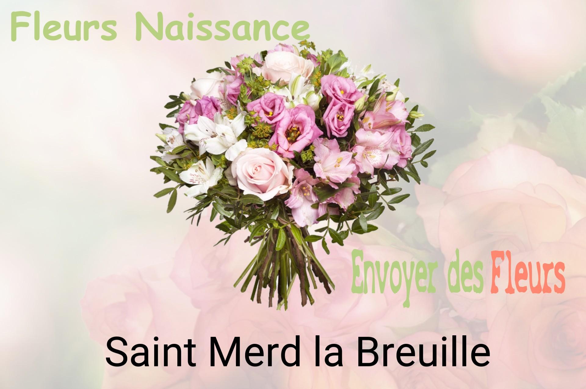 Bouquet de fleurs de naissance livré à Saint-Merd-la-Breuille